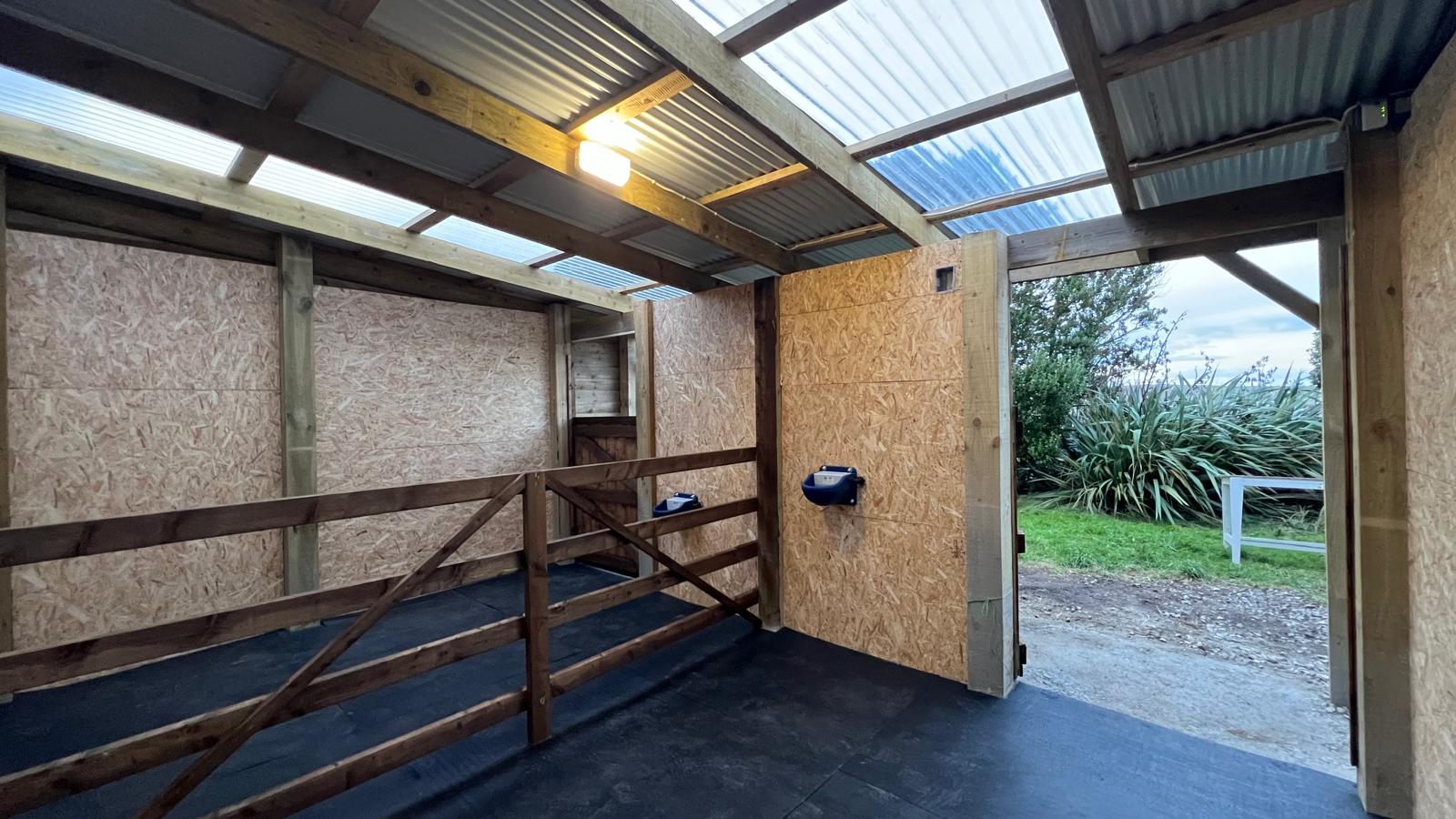Inside the new wooden barn, with two separate horse boxes.