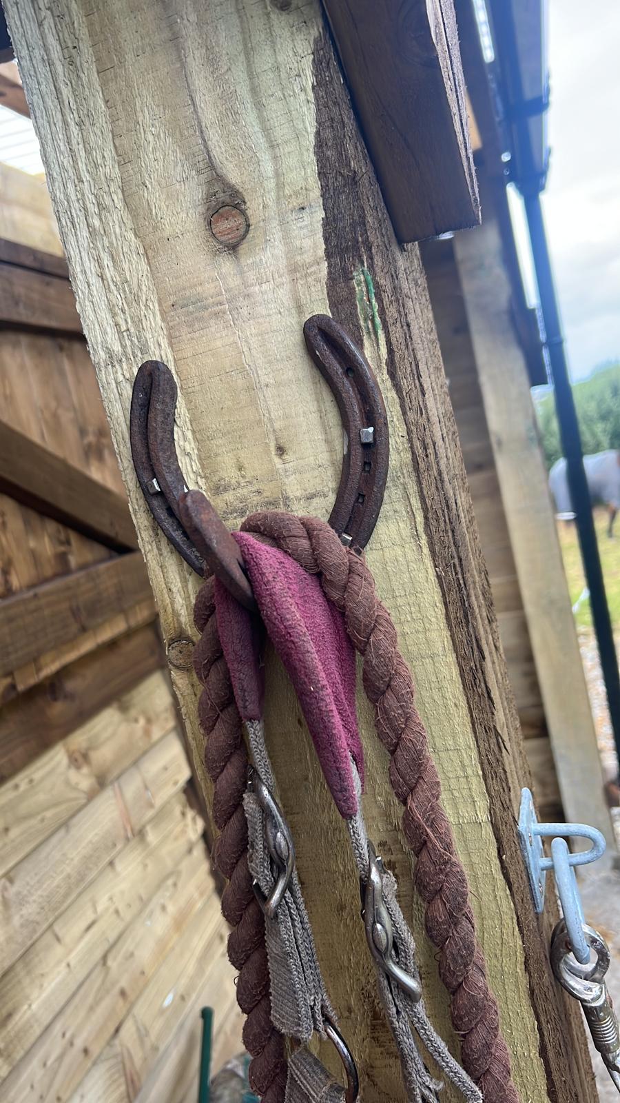 Laudi’s headcollar hanging from a horseshoe hook on the barn’s wooden post.
